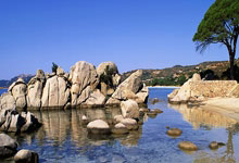 乌拉圭2022世界杯阵容,老炮压阵+新星崛起,能否续写荣光?